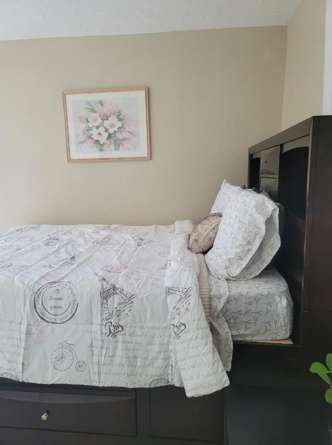 Entire Guesthouse 5 Mins To Siesta Key & Downtown Sarasota Exteriör bild